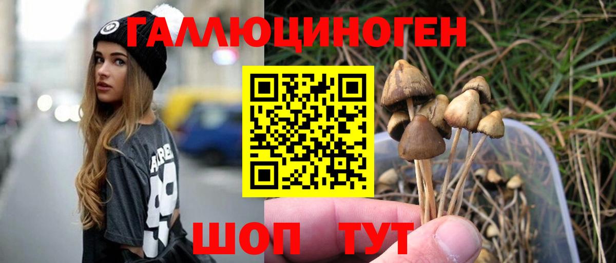 Волгоград  Галлюциногенные грибы Cubensis  Вход с VPN 